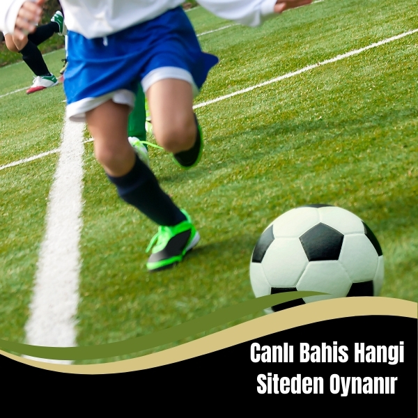 Canlı Bahis Hangi Siteden Oynanır